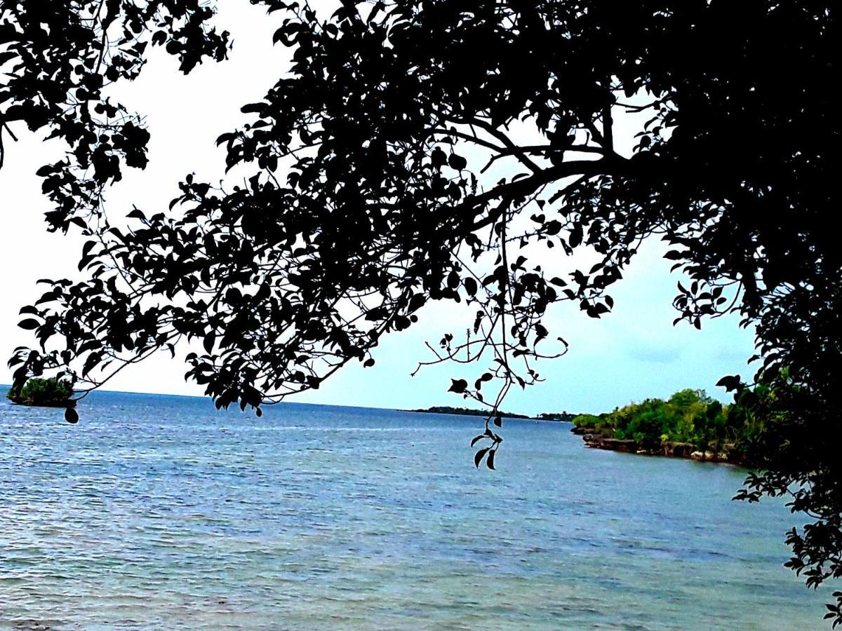 Adayo Cove Resort Siquijor Exteriör bild